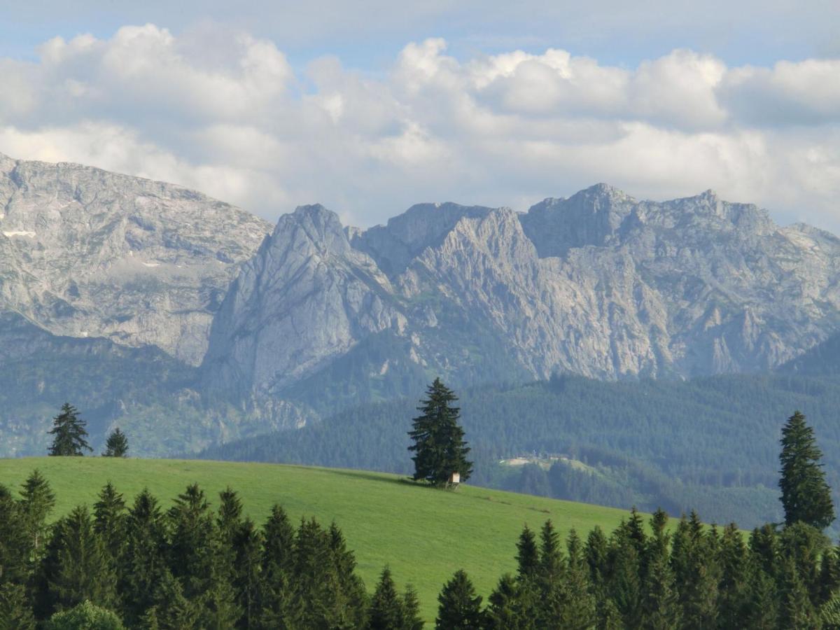 Log Cabin In Bavaria With Covered Terrace Villa Steingaden Luaran gambar